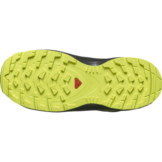 Salomon XA PRO V8 MID CSWP J